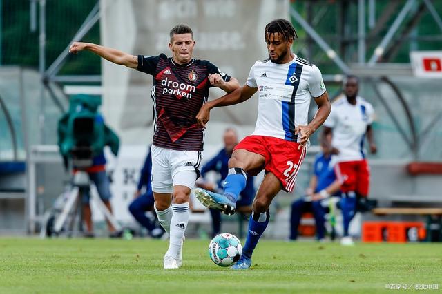 被丹麥防線 被丹麥防線