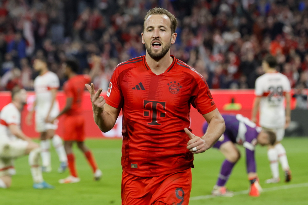 织在其声明 织在其声明